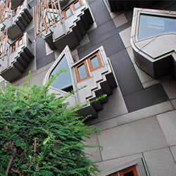 Windows of MSP block at Holyrood
